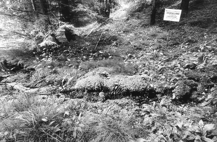 Külmaallikas ohvriallikas nr.514, II aastatuhat, kv.59, Mägipe k. Tuuru talust ca 1000m põhjas seljandiku jalamil