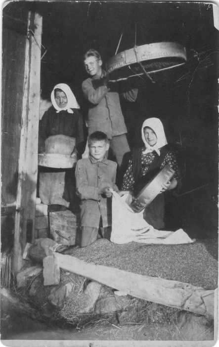 Vilja tuulamine