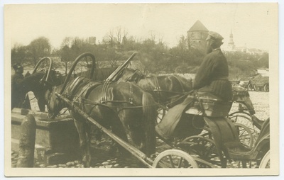 Tallinn, Heinaturg, knights at the horse drinking hill.  duplicate photo