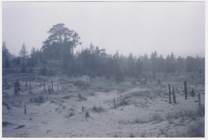 Foto Liivaluited Kõpu ps