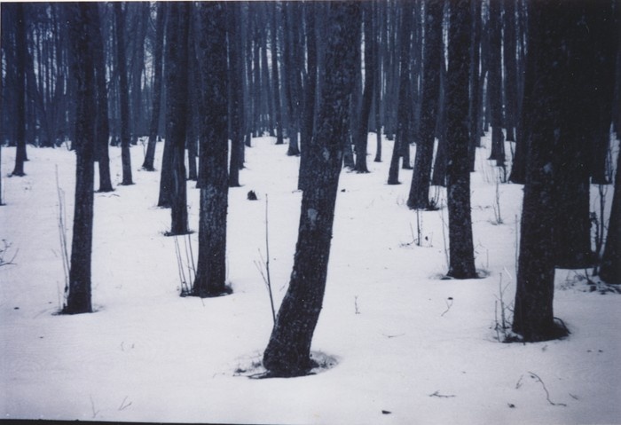 Foto Sanglepad Kärdla rannapargis (rannas)