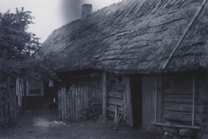 Tärkma k Peedu t rehielamu