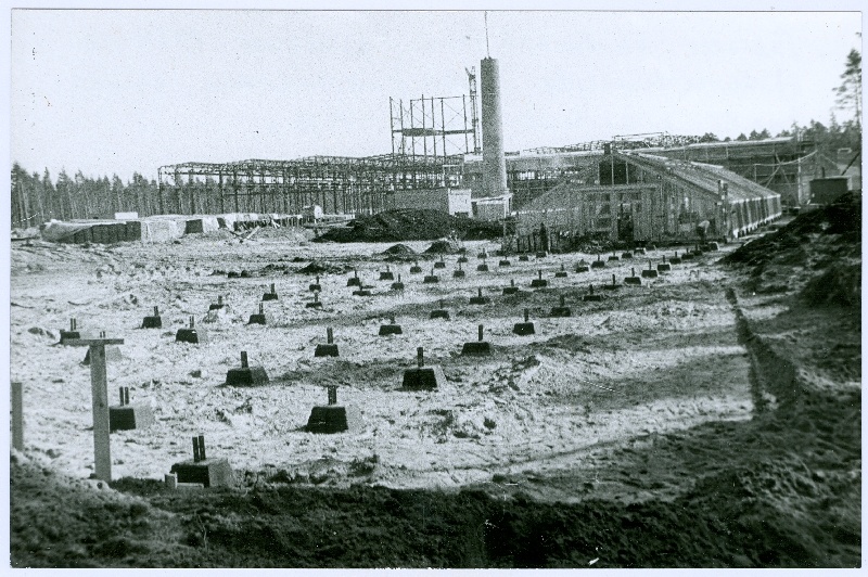 Photo. Palivere EMT greenhouse foundation extension posts in 1970.