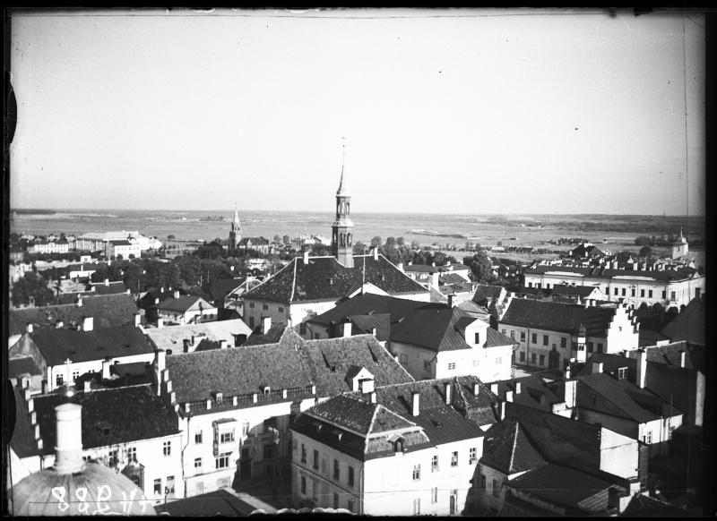 View of the city of Narva