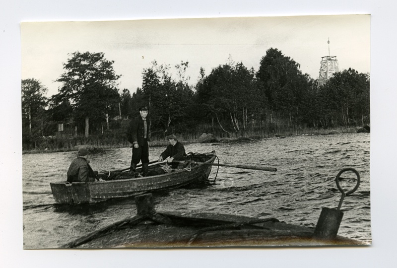 Consulting Angerjarüs in Vienna