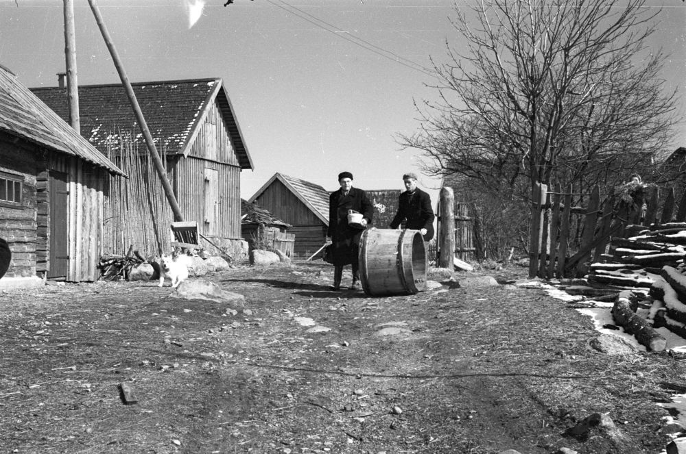 Collection of items in Viinistu village.