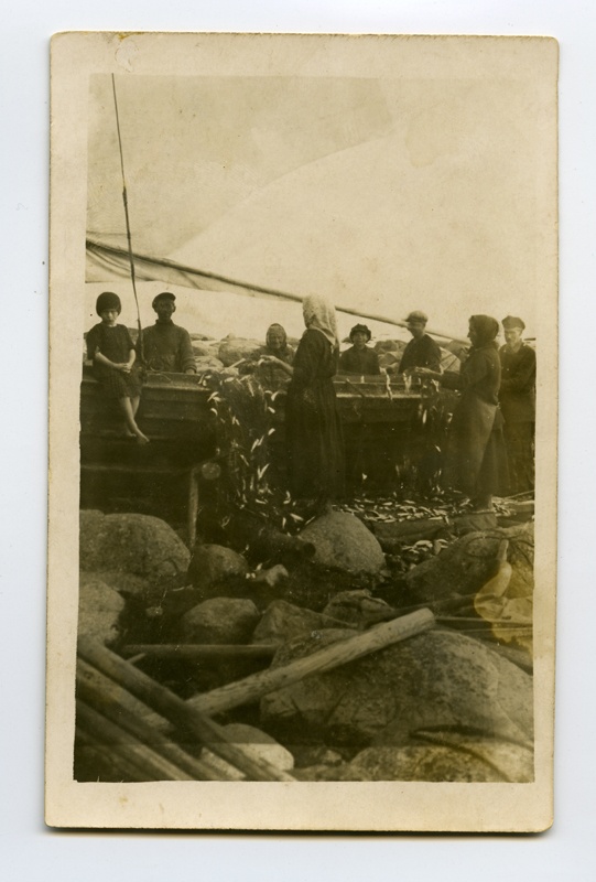 Network Rescuing Viinistu beach