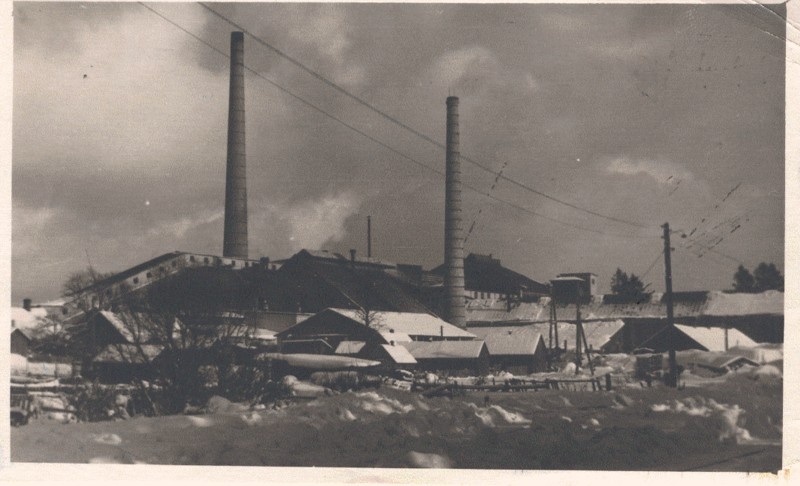 Photo. View of the factory.
