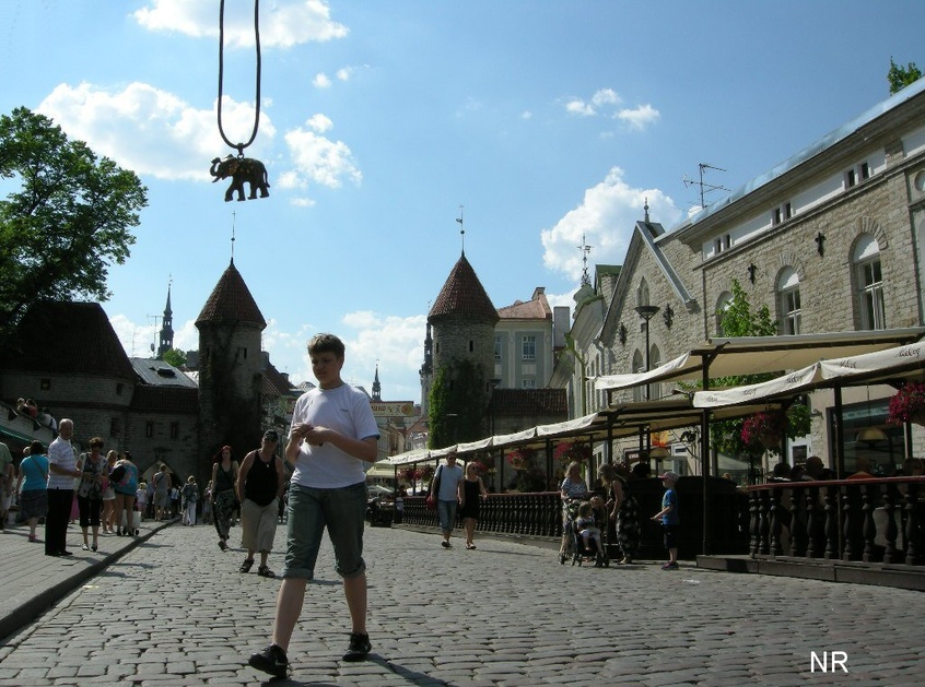 Tallinn, elevant Viru tänaval. rephoto