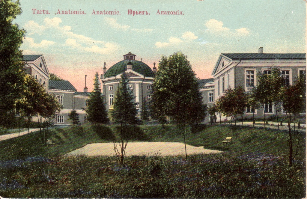 Postcard