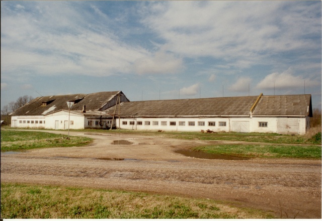 värvifoto Kareda küla vaade, endine kolhoosi loomalaut 1997