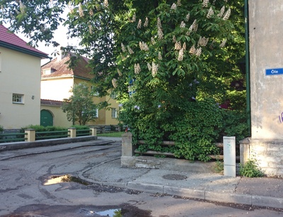 Tallinn, Kolde tänav. rephoto