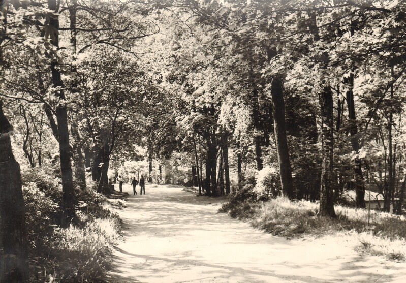 foto Paide Vallimägi 1960-ndad