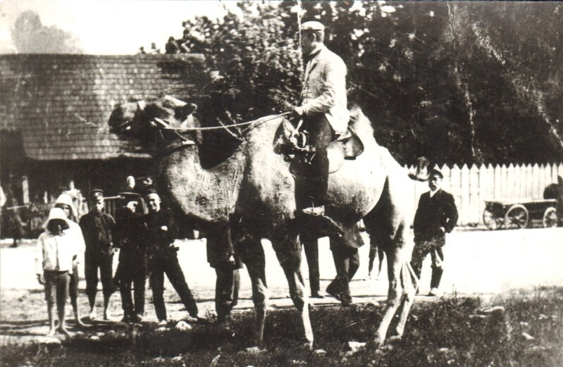 fotokoopia Georg Lurichi kaamel