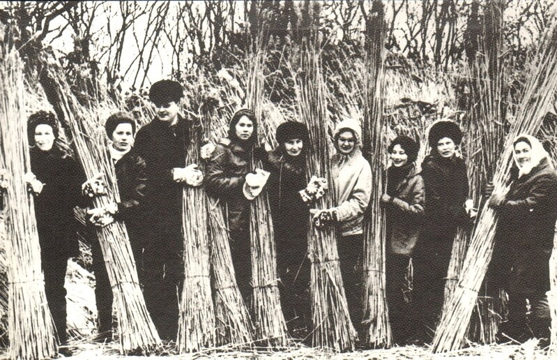 fotokoopia pilliroo toomine Vargamäele 1974