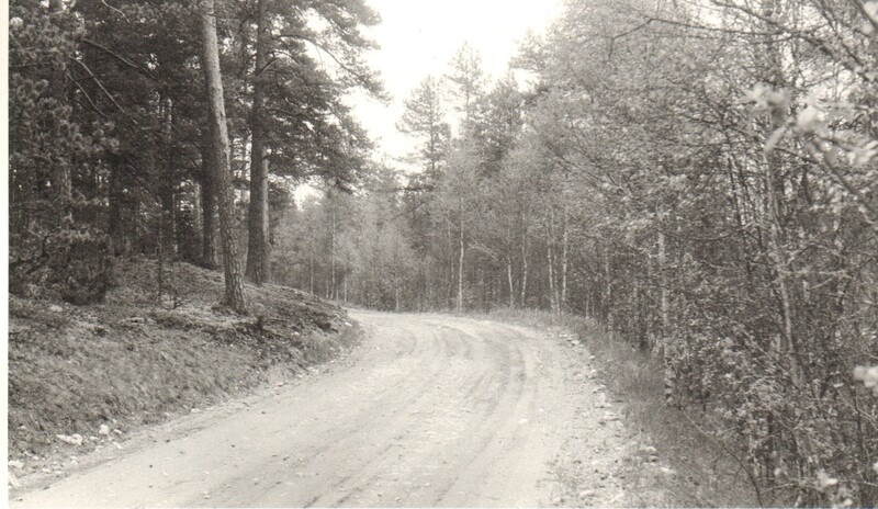 foto, käänuline Albu-Ardu maantee  1989.a.