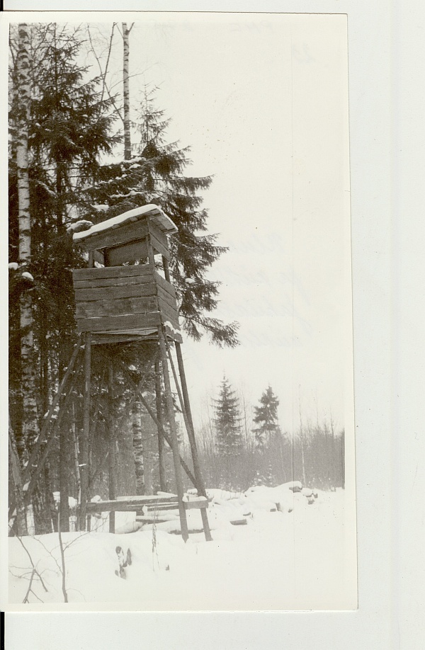 foto, ulukite varitsemise "kantsel" Väätsa riiklikus jahimajandis 1990.a.