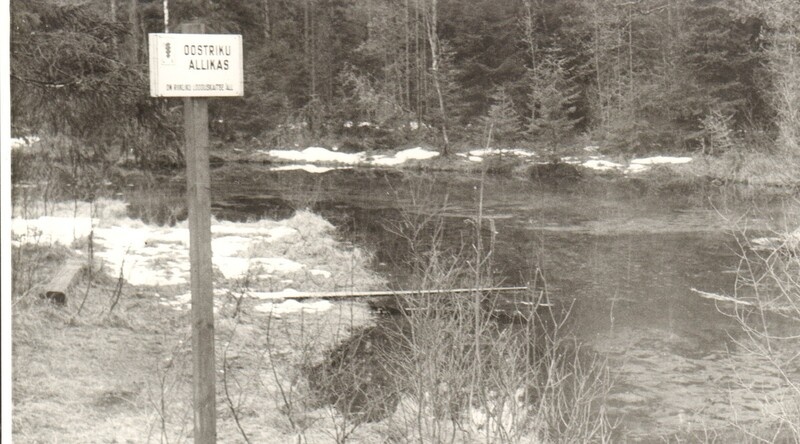 foto, Oostriku allikas Endla looduskaitsealal 1987.a.