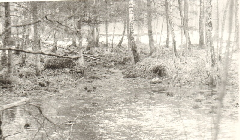 foto, Võllingi allikas Endla looduskaitsealal 1987.a.