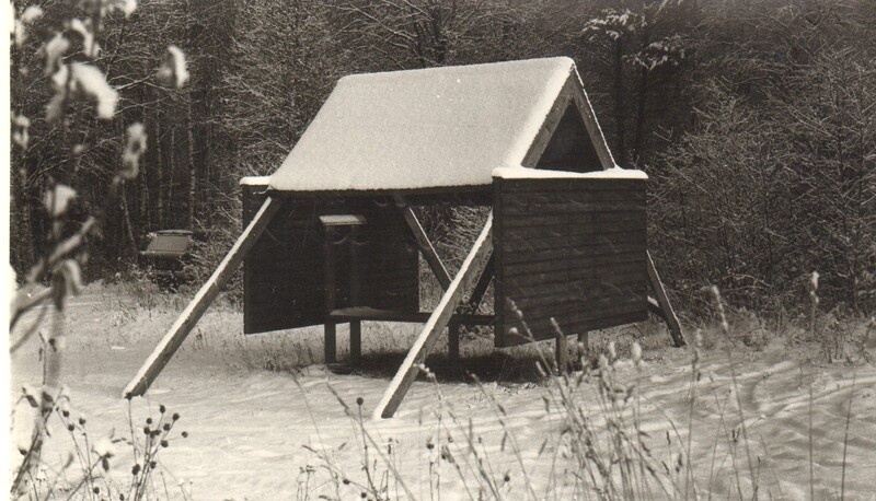 foto, teeäärne puhkepaviljon Tammsaare  metskonnas 1990.a.