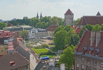 Tallinn, Harju tänava haljasala rajamise tööd. rephoto