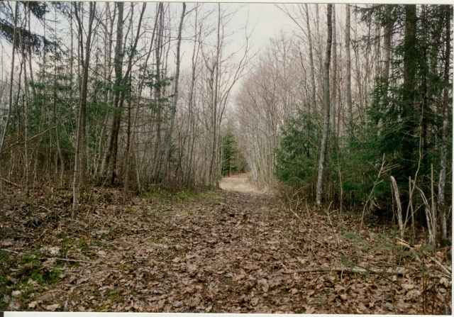 värvifoto tee perekond Gruenewaldi matmispaika ja kabeli juurde 1996
