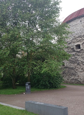 Tallinn, vaade Oleviste kirikule Rannavärava mäelt, vasakul Stolting, paremal Paks Margareta. rephoto