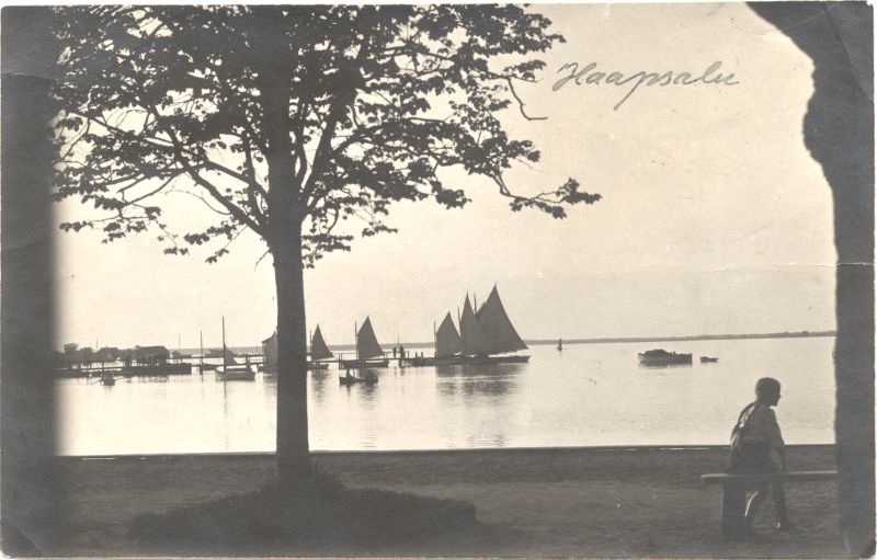Photo postcard. View from the promenade to the hunting harbour. Photo: e. Wirnhof. 1925.