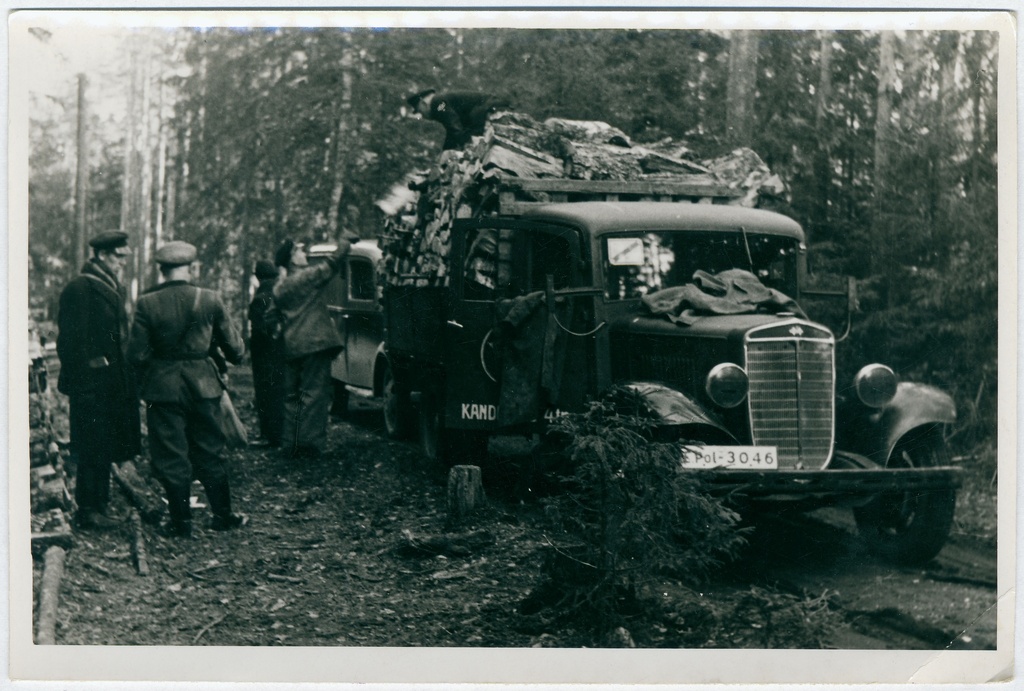 Küttepuude varumisel Raplamaal - puude laadimine autole.