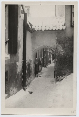 Tallinn, Trepi Street, view towards Harju Street.  duplicate photo