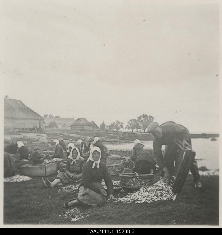 Hiidlased Pärnu lahes Sarna rannas räimi rappimas