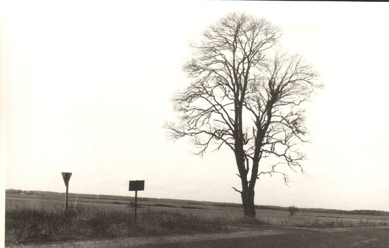 foto sügisene loodus 1994