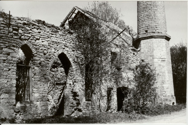 foto Vodja mõisa viinavabriku varemed 1993