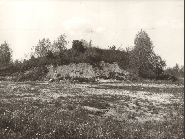 foto, Aravete-Pätsiniidu 1990