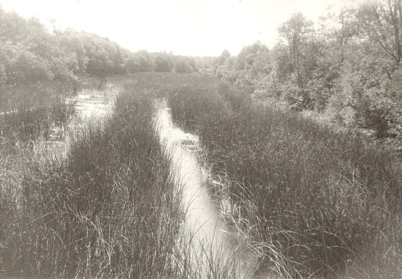 foto, Pärnu jõgi Jändjal 1990