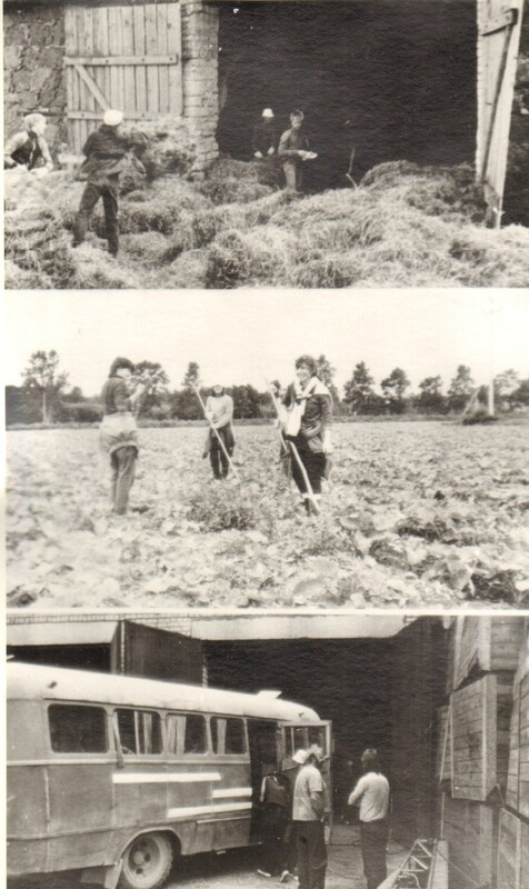 foto, EÕM Vodja, Alliku ja Lehtse rühmad tööl 1987.a.