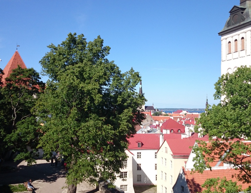 Tallinn, vaade vanalinnale kirde suunas, paremal Niguliste kiriku torn, taga Oleviste ja Pühavaimu kiriku tornid, vasakul Toompea. rephoto
