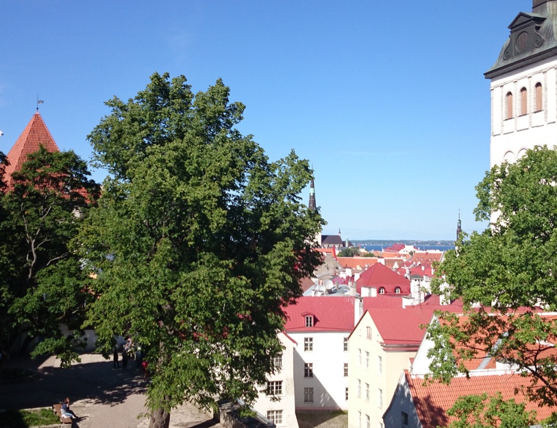 Tallinn, vaade vanalinnale kirde suunas, paremal Niguliste kiriku torn, taga Oleviste ja Pühavaimu kiriku tornid, vasakul Toompea. rephoto