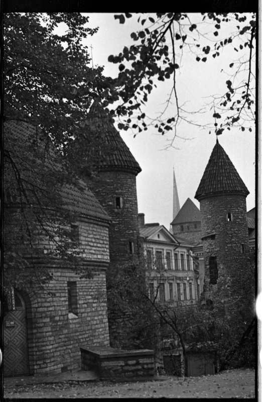 Viru Gate by Virumäe.