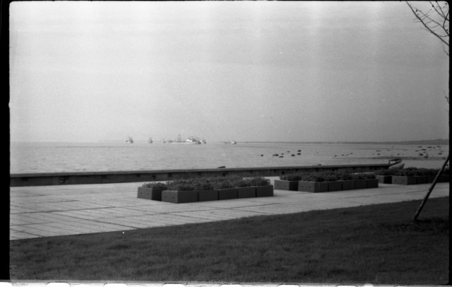 Pirita tee Kadriorus