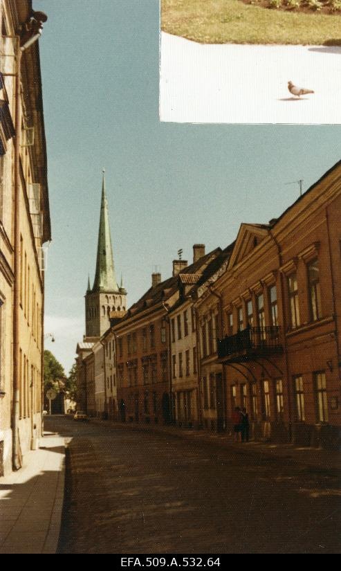 Vaade Laiale tänavale.