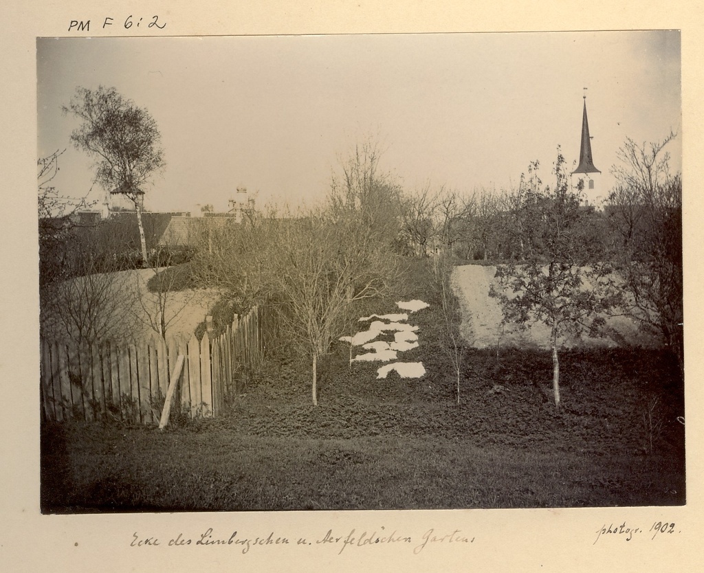 Garden Paides