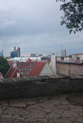 Tallinn, Limani aed talvel, vaade linnale. rephoto