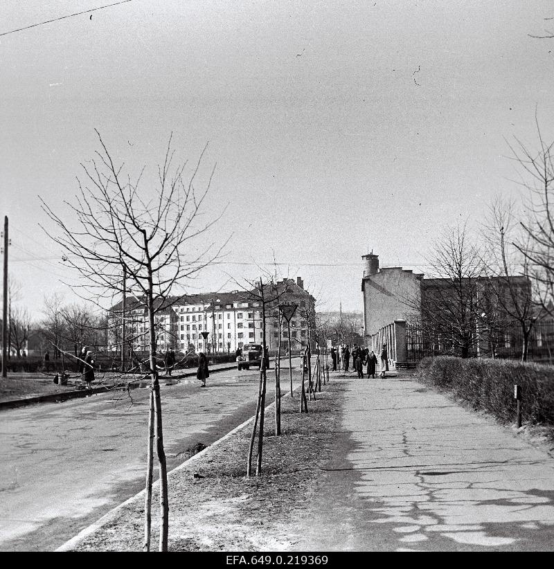 Vaade Lomononossovi (Gonsiori) tänavale.