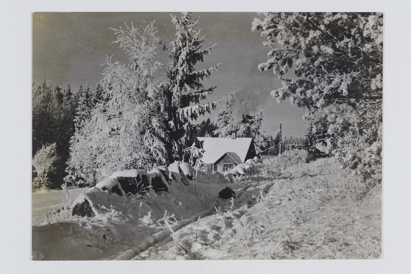 Fotopostkaart talu ja lumise metsaga
