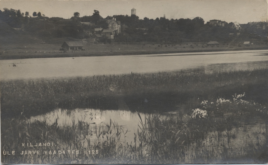 Viewing Viljandi over the lake