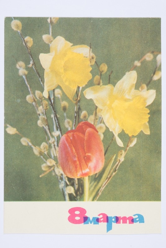 Naistepäevakaart "8 Марта": nartsissid, pajuoksad ja tulp