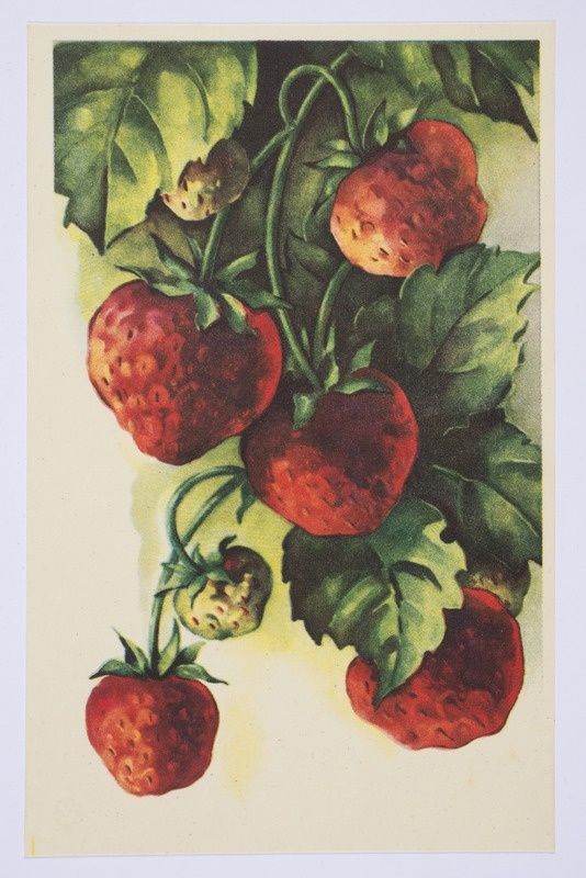 Sünnipäevakaart maasikatega