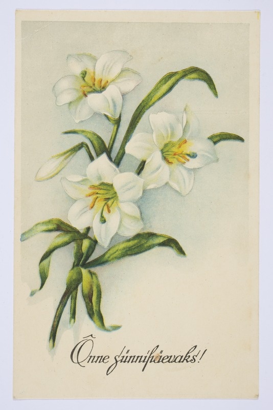 Sünnipäevakaart liiliatega ja tekstiga "Õnne sünnipäevaks!"