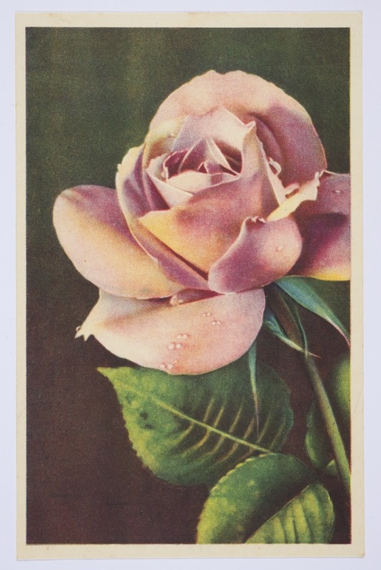 Sünnipäevakaart roosiga